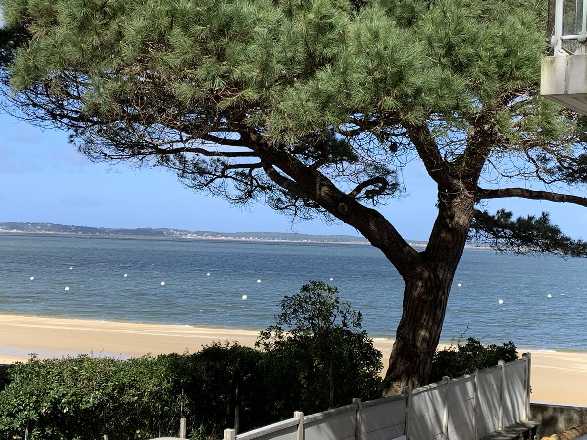 Appartement - Arcachon